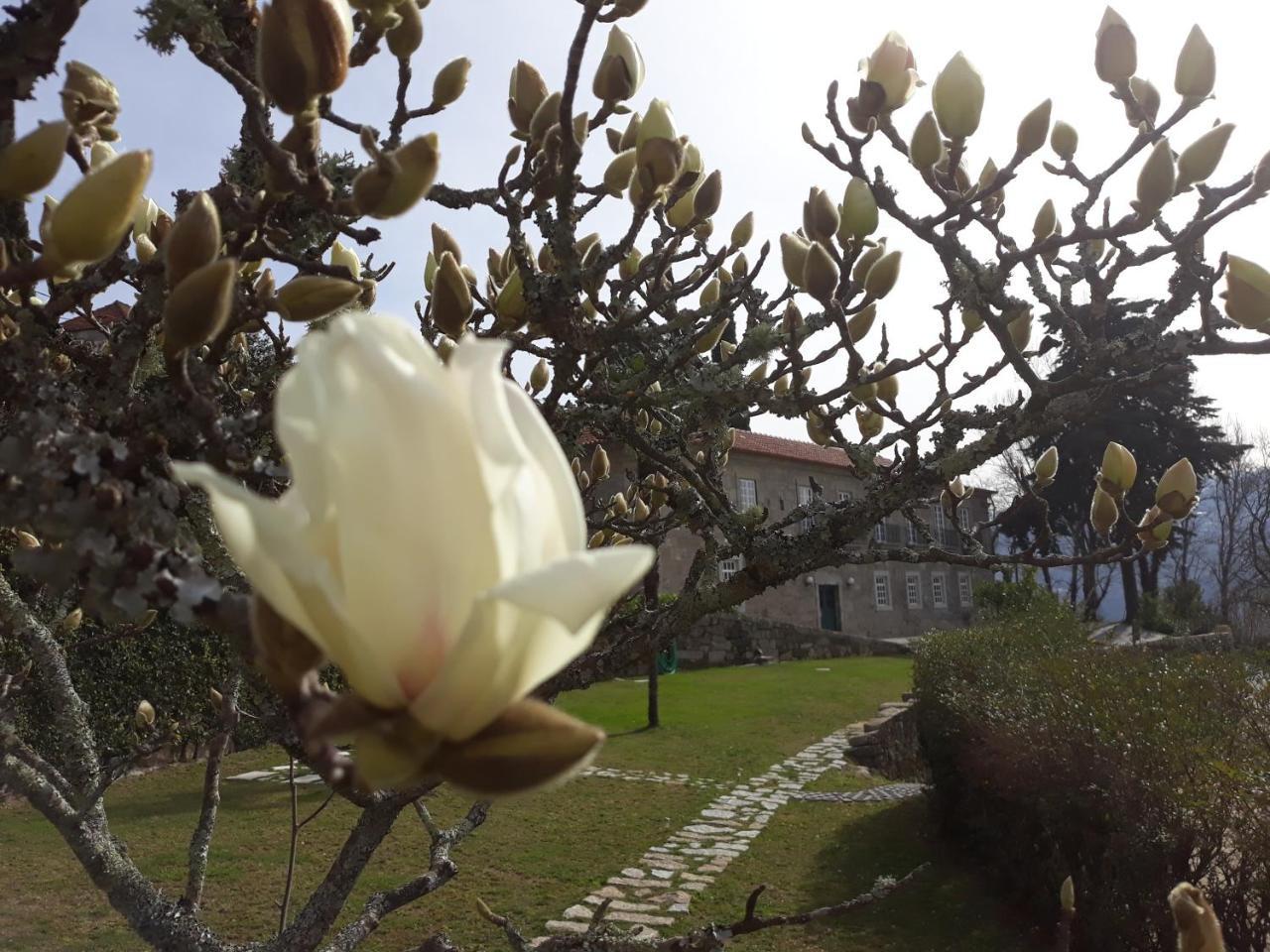 Quinta De Aguia - Non-Smoking Property Hotel São Lourenço do Douro Kültér fotó