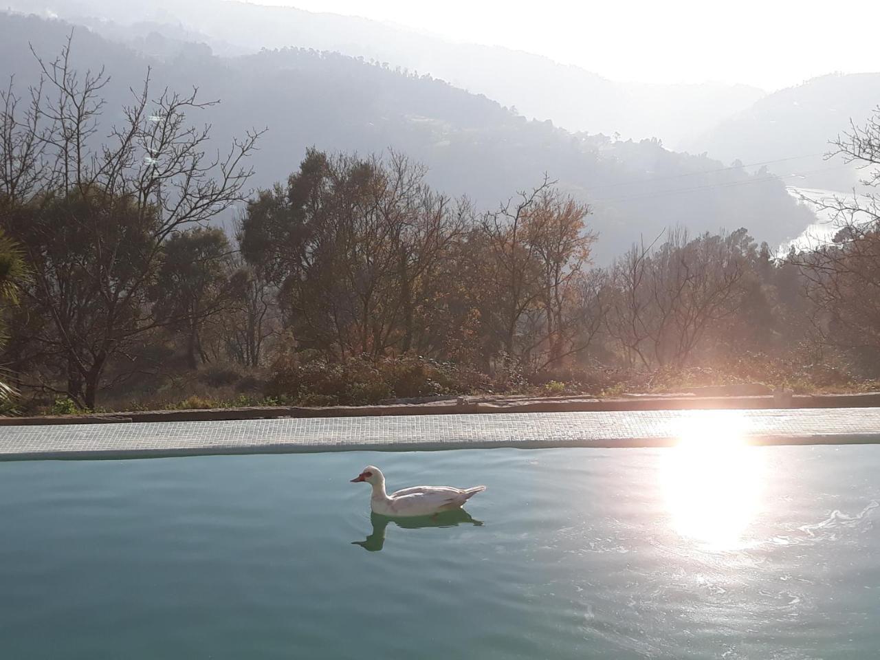 Quinta De Aguia - Non-Smoking Property Hotel São Lourenço do Douro Kültér fotó